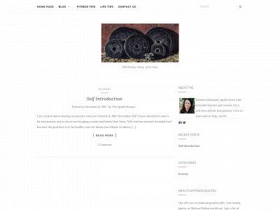 thesparklyrox.com snapshot