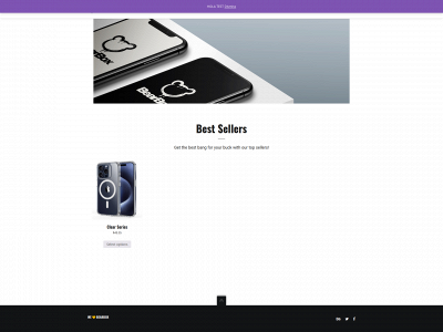 bearboxcase.com snapshot