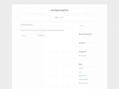 amorgancapture.com snapshot