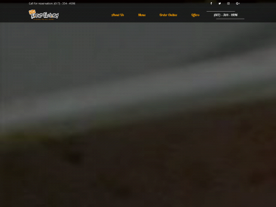 www.thekebabfactory.net snapshot