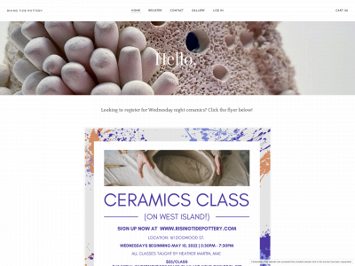 www.risingtidepottery.com snapshot