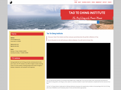 ttc.institute snapshot