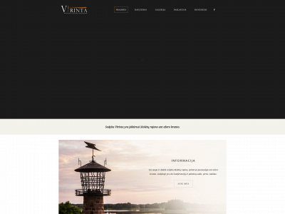 virinta.lt snapshot
