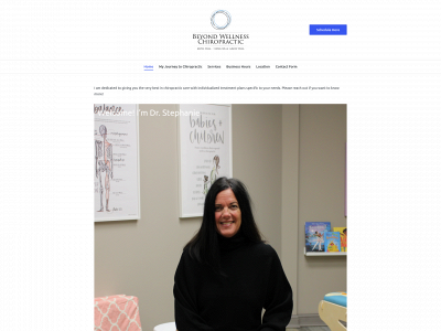beyondwellnesschiromn.com snapshot