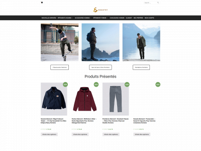 enskiftet.com snapshot