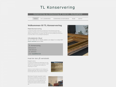 tlkons.dk snapshot