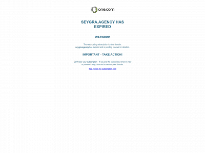 seygra.agency snapshot