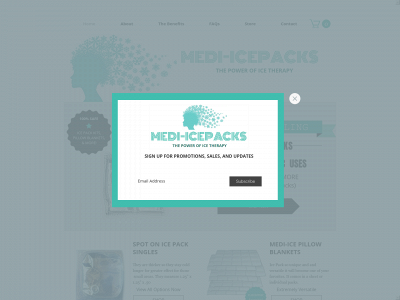 www.medi-icepacks.com snapshot
