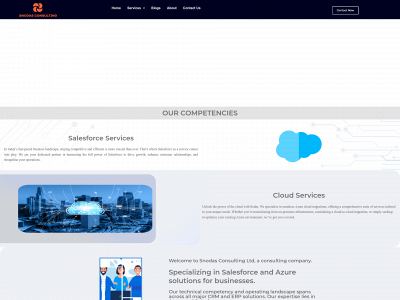snodasconsulting.co.uk snapshot