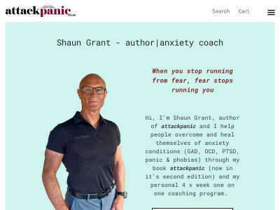 www.attackpanic.co.nz snapshot