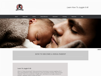 theninjaparent.com snapshot