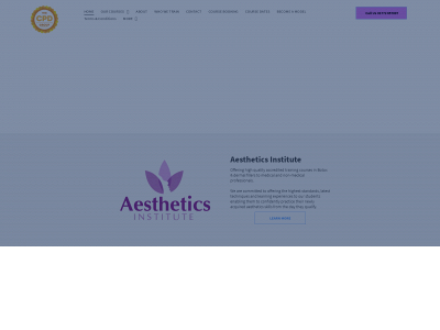 aesthetics-institute.co.uk snapshot