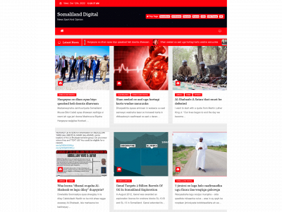 somaliland.digital snapshot