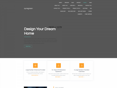 synegreen.ie snapshot