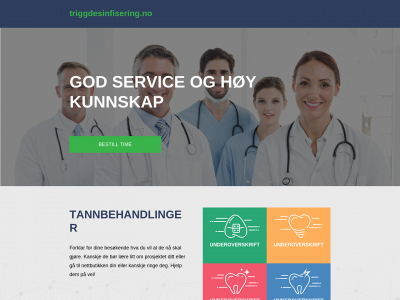triggdesinfisering.no snapshot