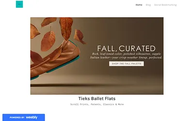 tieks.weebly.com snapshot