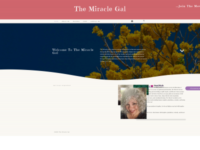 themiraclegal.com snapshot