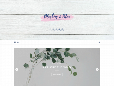 blushingandblue.com snapshot