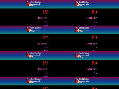 paridubey.com snapshot