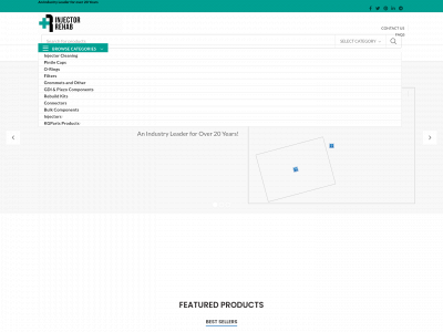 injector-rehab.com snapshot