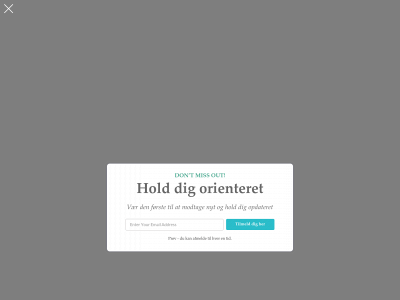 mitmarielyst.dk snapshot