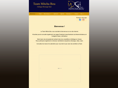 team-mitchabou.ch snapshot