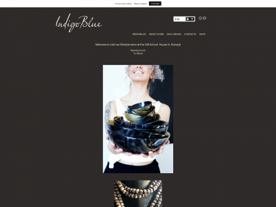 indigoblueco.com snapshot