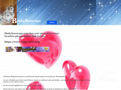 binkyboosrags.com snapshot