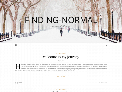 finding-normal.com snapshot
