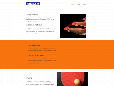 spinassociated.it snapshot