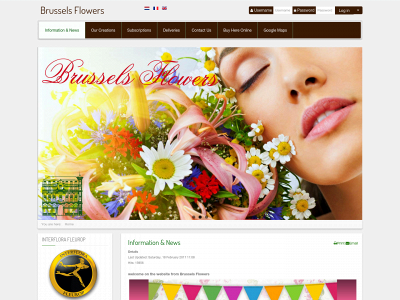 brusselsflowersshop.com snapshot