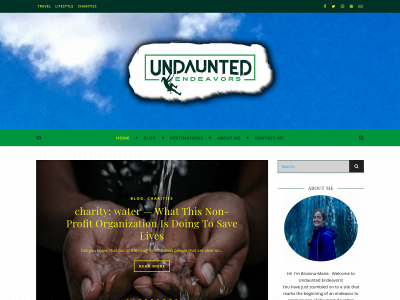 undauntedendeavors.com snapshot