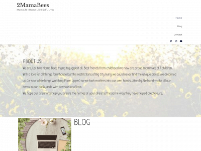2mamabees.com snapshot