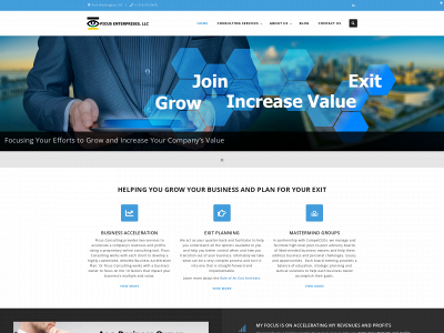 picusconsulting.com snapshot