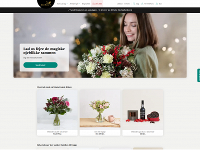 silleh.dk snapshot