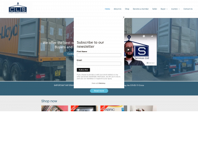 containerliquidationservices.com snapshot