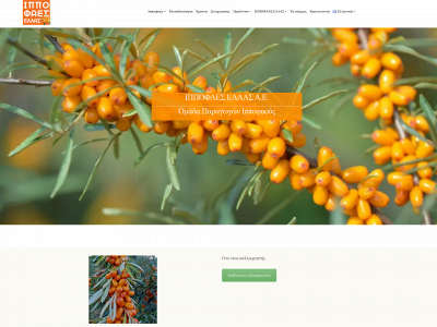 hippophae.net snapshot