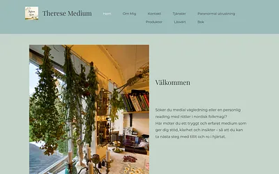 medium-och-tarot.se snapshot