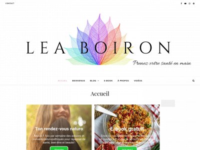 leaboiron.com snapshot
