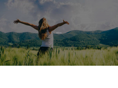 evivewellness.com snapshot