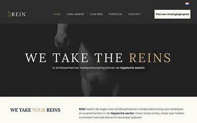 rein-agency.com snapshot