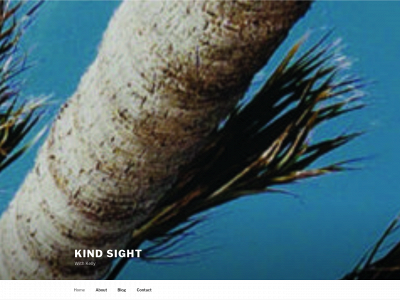 kindsight.me snapshot