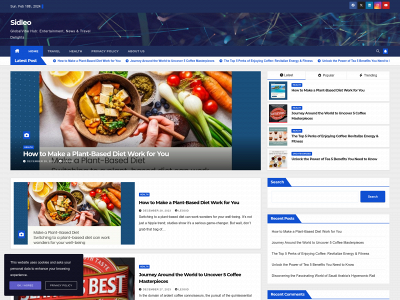 sidleo.com snapshot