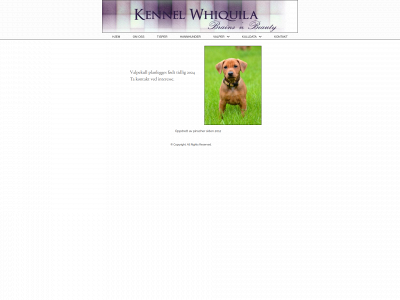 whiquila.com snapshot