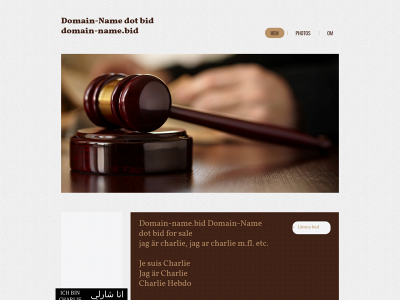 domain-name.bid snapshot