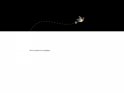 salvedorcoaching.nl snapshot