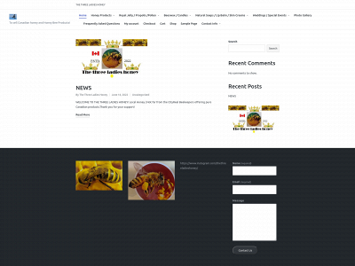 thethreeladieshoney.com snapshot