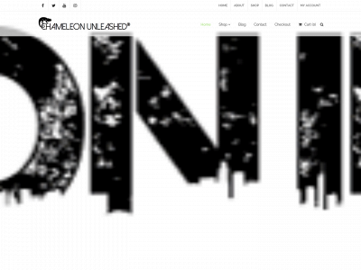 chameleonunleashed.com snapshot