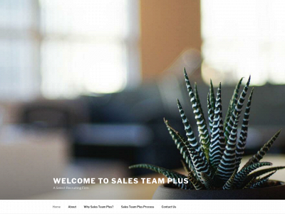 salesteamplus.com snapshot