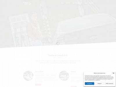 trafficconsult.nl snapshot